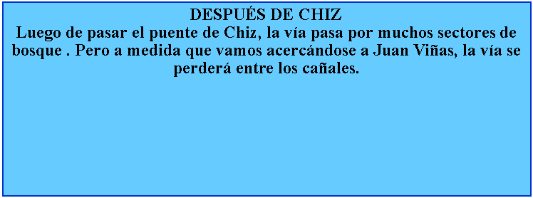 Cuadro de texto: DESPUS DE CHIZLuego de pasar el puente de Chiz, la va pasa por muchos sectores de bosque . Pero a medida que vamos acercndose a Juan Vias, la va se perder entre los caales.