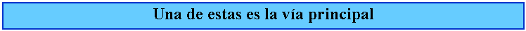 Cuadro de texto: Una de estas es la va principal