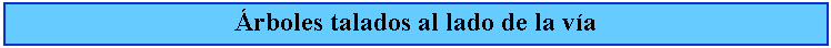 Cuadro de texto: rboles talados al lado de la va