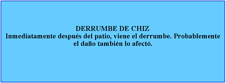 Cuadro de texto: DERRUMBE DE CHIZInmediatamente despus del patio, viene el derrumbe. Probablemente el dao tambin lo afect.