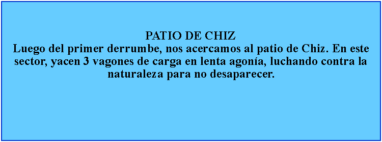 Cuadro de texto: PATIO DE CHIZLuego del primer derrumbe, nos acercamos al patio de Chiz. En este sector, yacen 3 vagones de carga en lenta agona, luchando contra la naturaleza para no desaparecer.