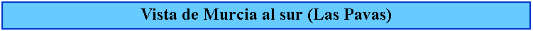 Cuadro de texto: Vista de Murcia al sur (Las Pavas)