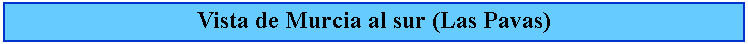 Cuadro de texto: Vista de Murcia al sur (Las Pavas)