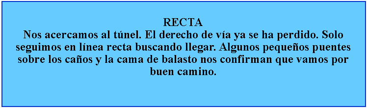 Cuadro de texto: RECTANos acercamos al tnel. El derecho de va ya se ha perdido. Solo seguimos en lnea recta buscando llegar. Algunos pequeos puentes sobre los caos y la cama de balasto nos confirman que vamos por buen camino.