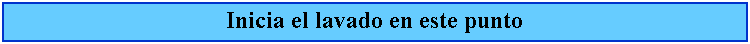 Cuadro de texto: Inicia el lavado en este punto