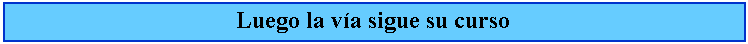 Cuadro de texto: Luego la va sigue su curso