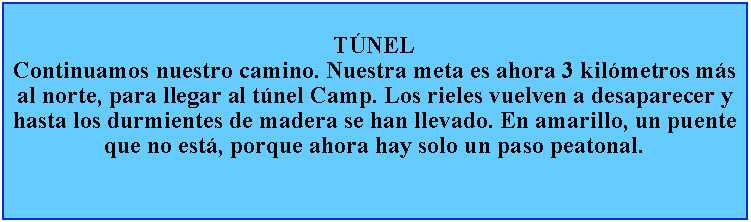 Cuadro de texto: TNELContinuamos nuestro camino. Nuestra meta es ahora 3 kilmetros ms al norte, para llegar al tnel Camp. Los rieles vuelven a desaparecer y hasta los durmientes de madera se han llevado. En amarillo, un puente que no est, porque ahora hay solo un paso peatonal.