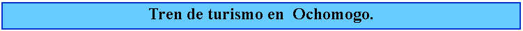 Cuadro de texto: Tren de turismo en  Ochomogo.