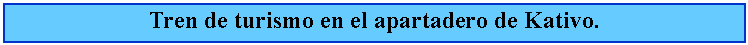 Cuadro de texto: Tren de turismo en el apartadero de Kativo.