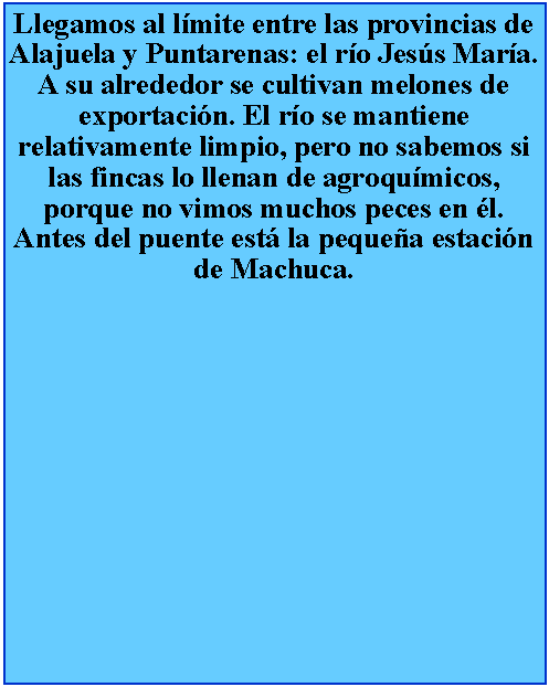 Cuadro de texto: Llegamos al lmite entre las provincias de Alajuela y Puntarenas: el ro Jess Mara. A su alrededor se cultivan melones de exportacin. El ro se mantiene relativamente limpio, pero no sabemos si las fincas lo llenan de agroqumicos, porque no vimos muchos peces en l. Antes del puente est la pequea estacin de Machuca.