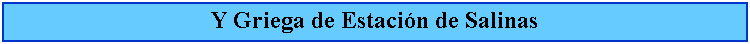 Cuadro de texto: Y Griega de Estacin de Salinas
