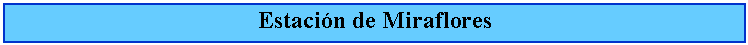 Cuadro de texto: Estacin de Miraflores