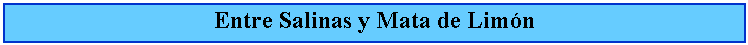 Cuadro de texto: Entre Salinas y Mata de Limn