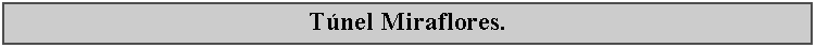 Cuadro de texto: Tnel Miraflores.