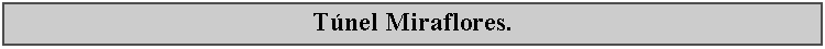 Cuadro de texto: Tnel Miraflores.